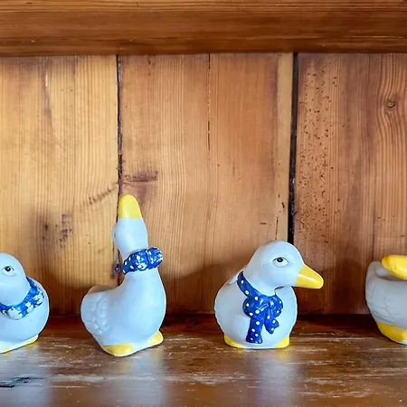 Relas - Spatzennest Apartment