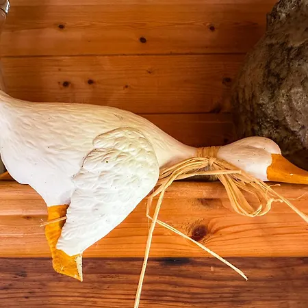 Relas - Spatzennest Apartment